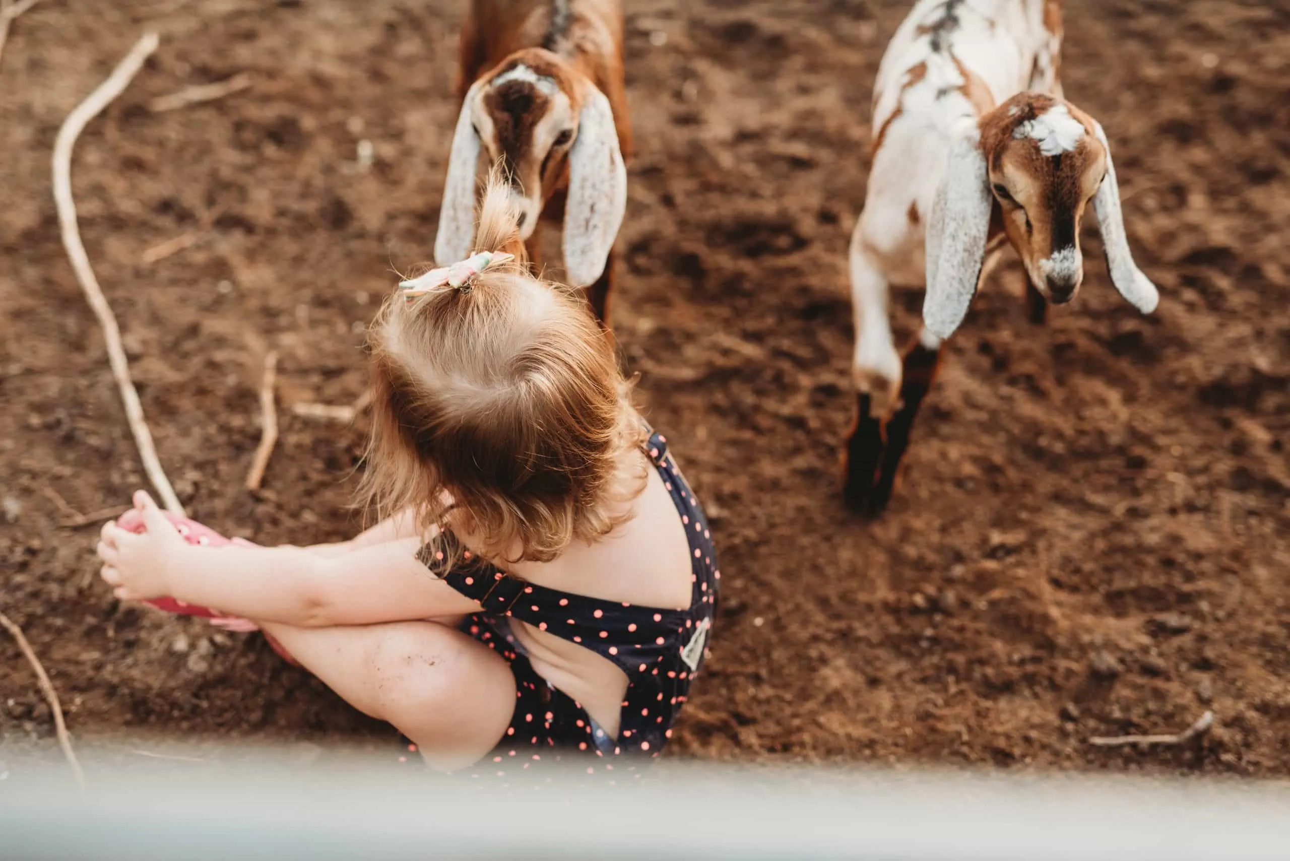 Babies and Puppies and Kiddies, Oh My! | Personal, The Farm - Jennifer Duke Photography