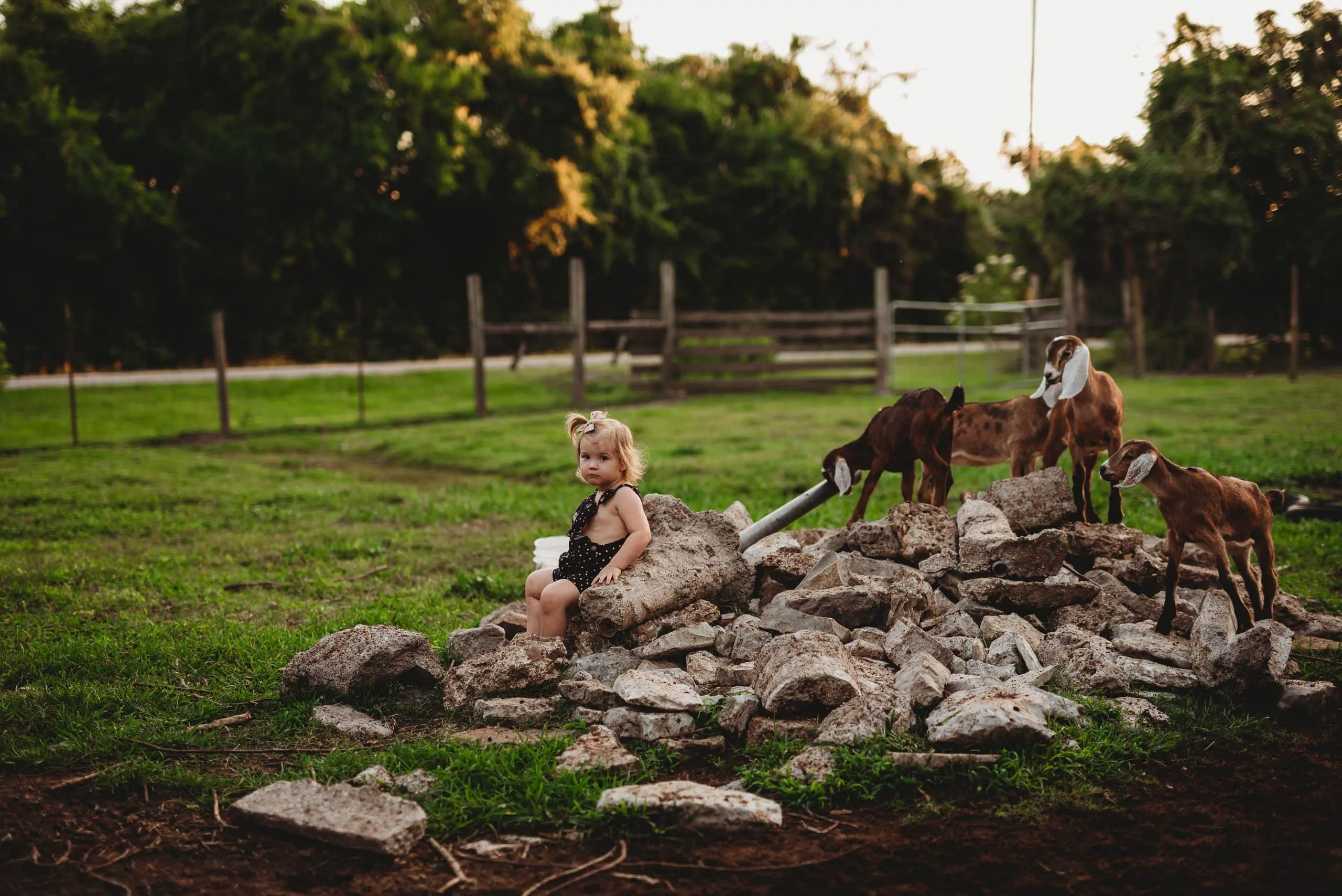 Babies and Puppies and Kiddies, Oh My! | Personal, The Farm - Jennifer Duke Photography