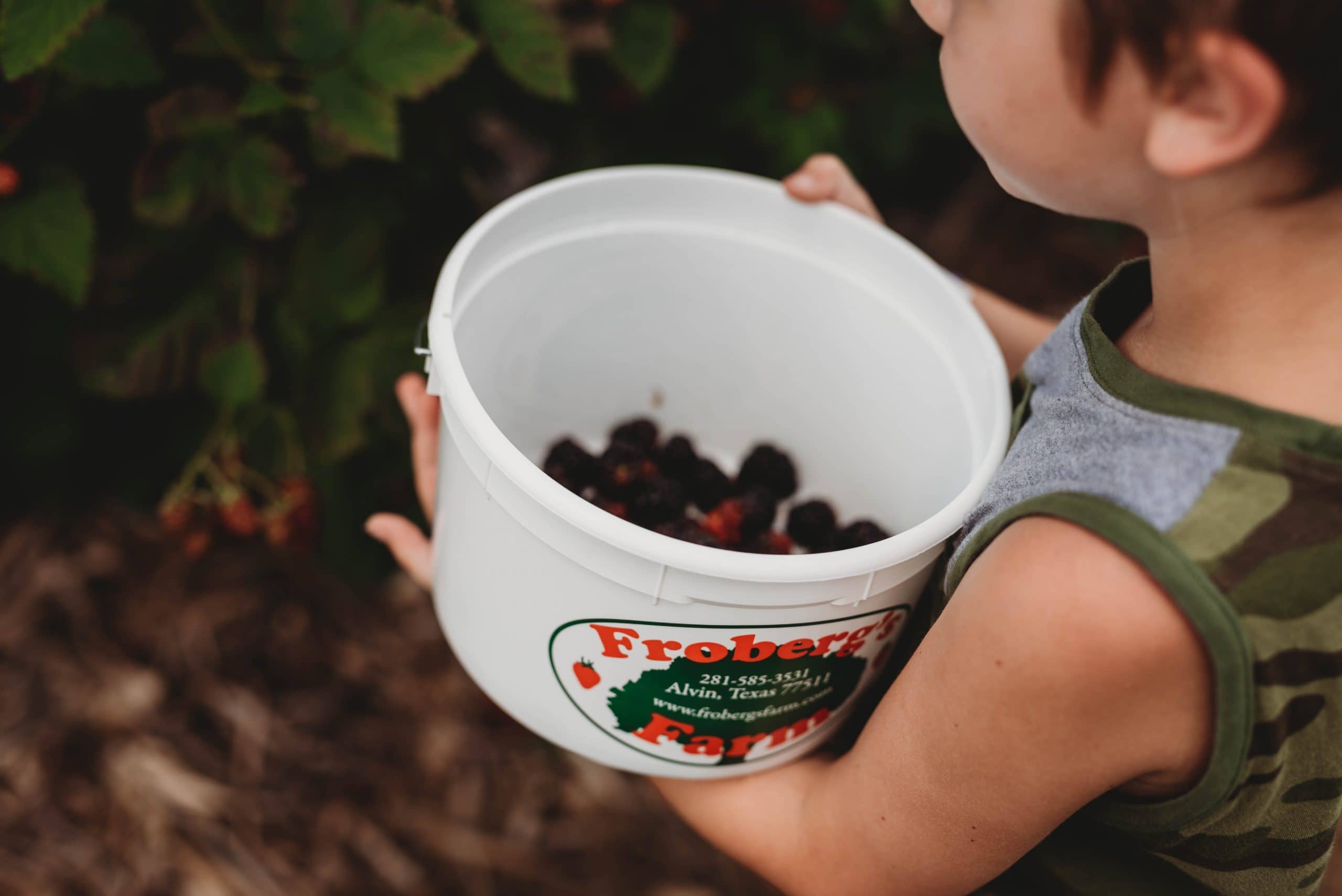 Blackberry Picking with Cousins | Personal - Jennifer Duke Photography