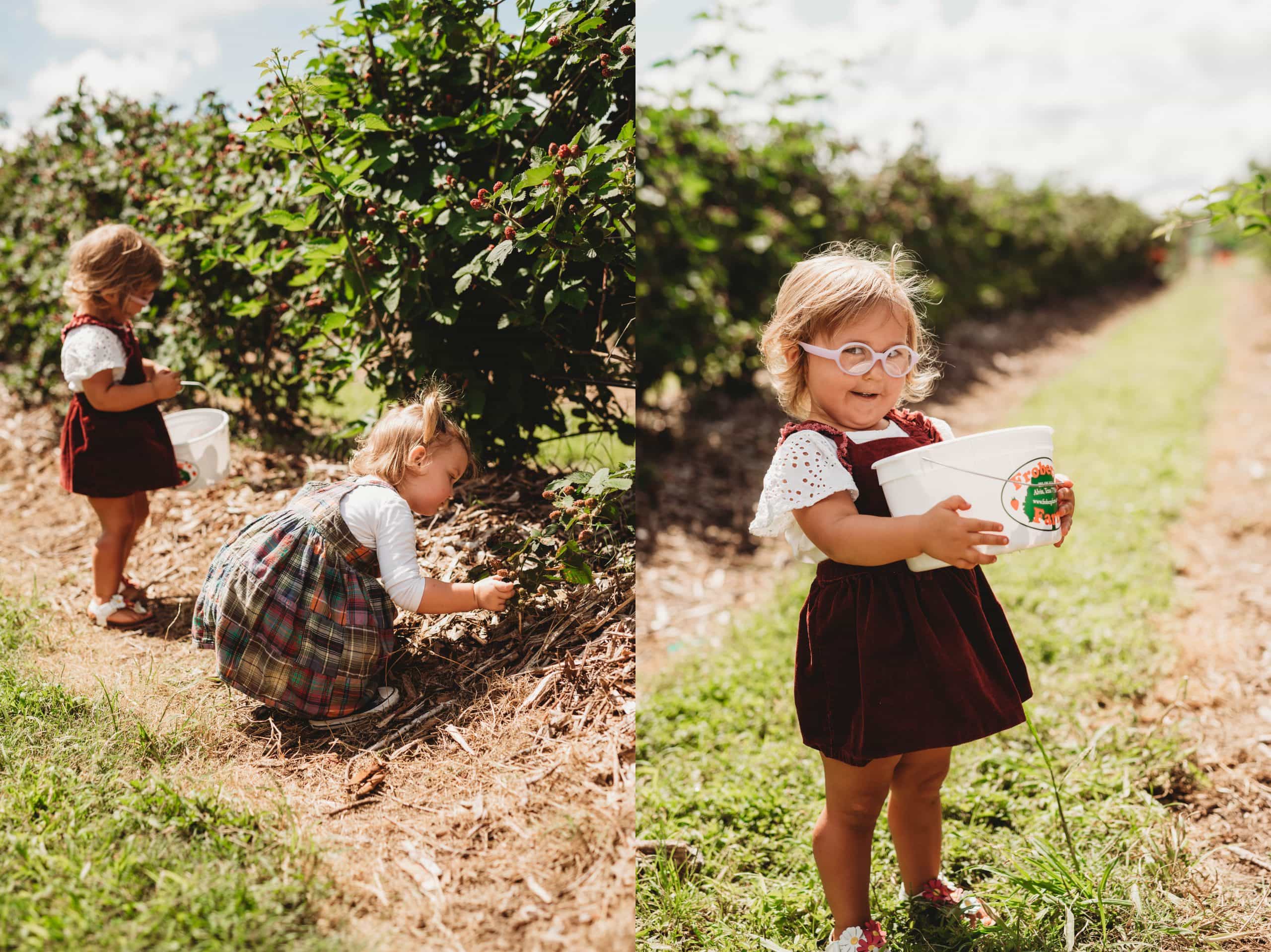 Blackberry Picking with Cousins | Personal - Jennifer Duke Photography