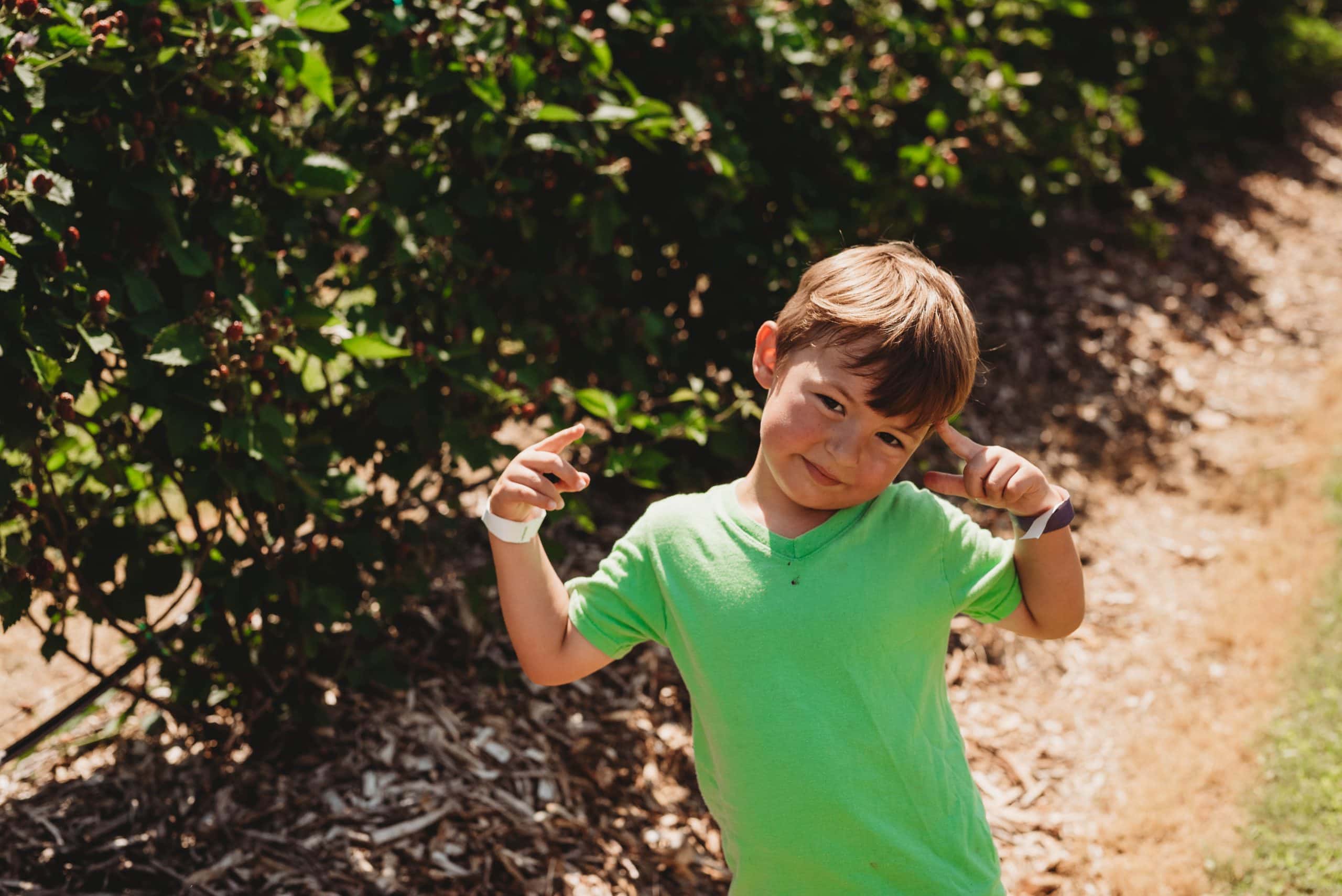 Blackberry Picking with Cousins | Personal - Jennifer Duke Photography